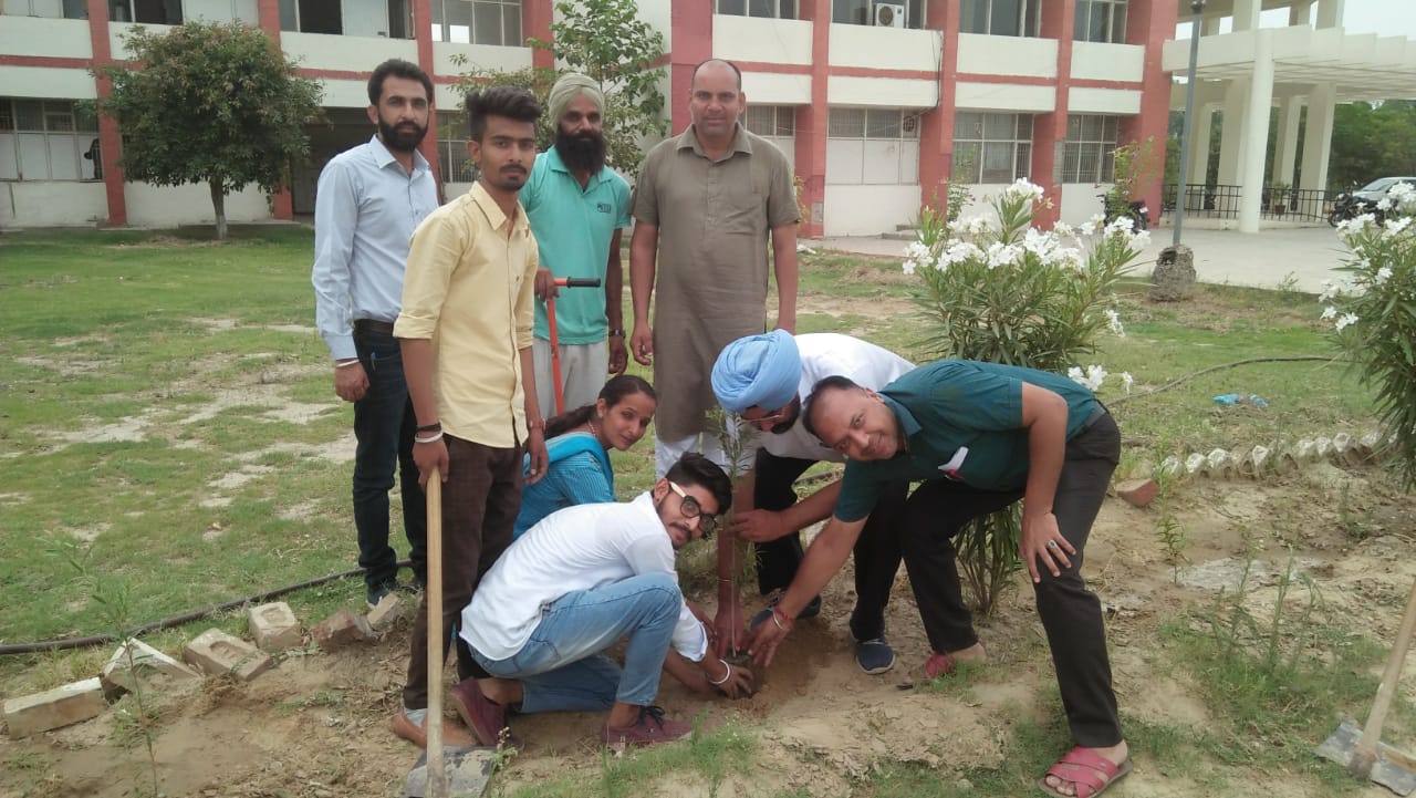 Nearly 200 saplings were planted in Punjab University Government College Sidhwala
