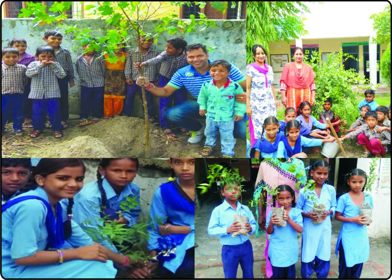 Floral Fruit and Shaggy Shrubs planted in schools of Block Ferozepur-2